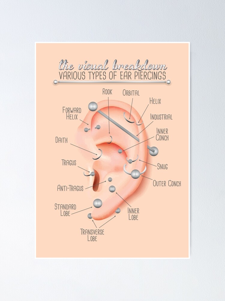 Ear Piercing Chart Infographic | Poster