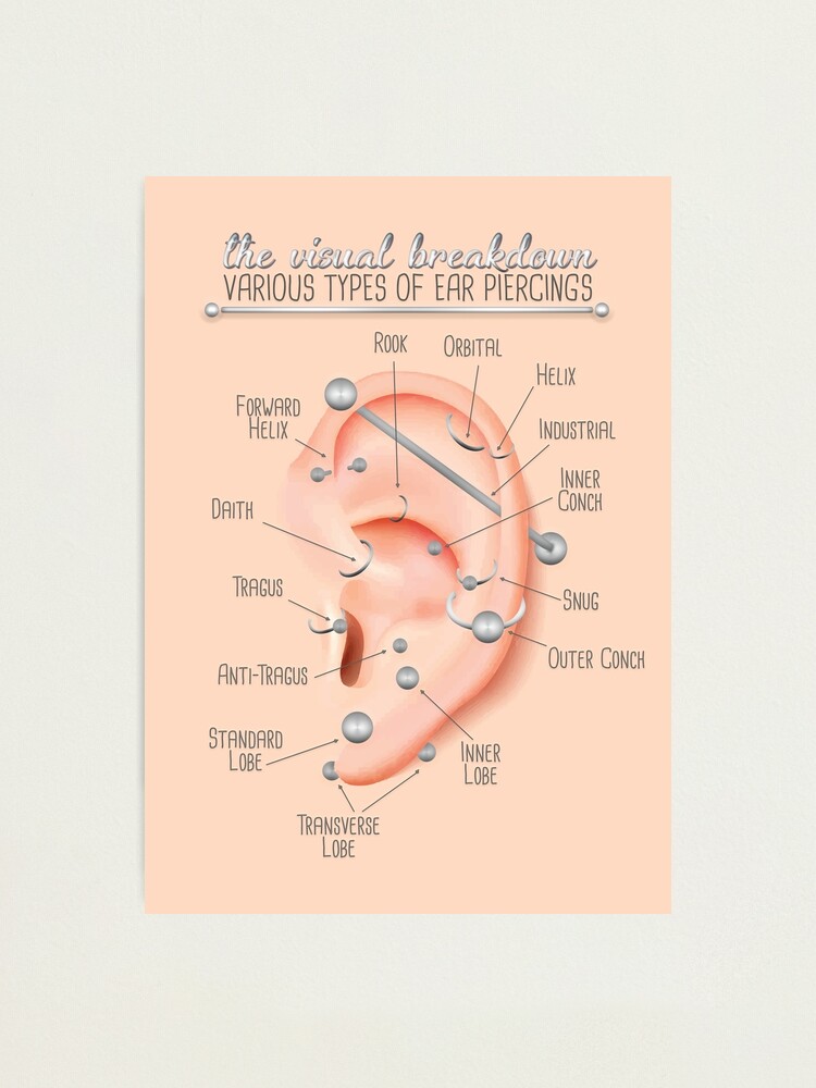 Ear Piercing Chart Infographic | Poster