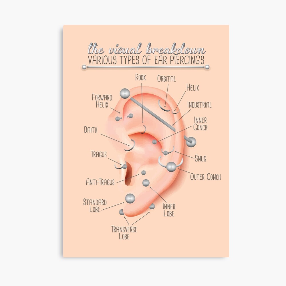 Ink Ear Piercing Chart Poster