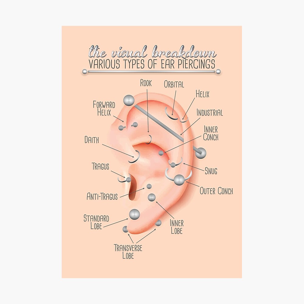 Ear Piercing Chart Infographic | Poster