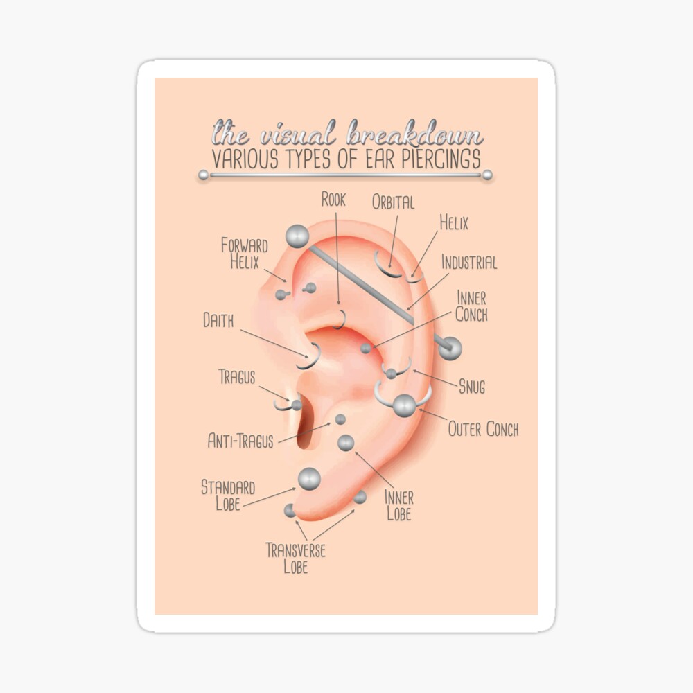 Ear Piercing Chart Infographic | Poster