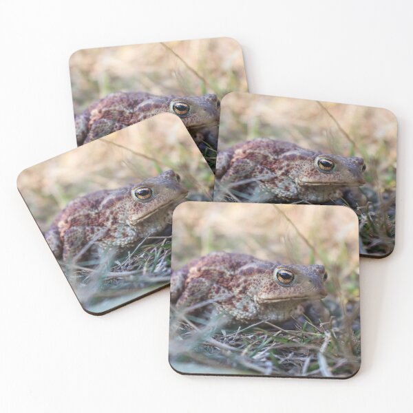 Item preview, Camouflaged Common Toad designed and sold by Imladris01.