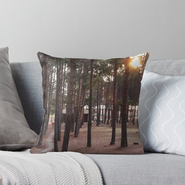 Item preview, “Golden Dusk in Dullstroom: Majestic Pine Trees Embracing the Sun set” designed and sold by IDoMatterROSASS.