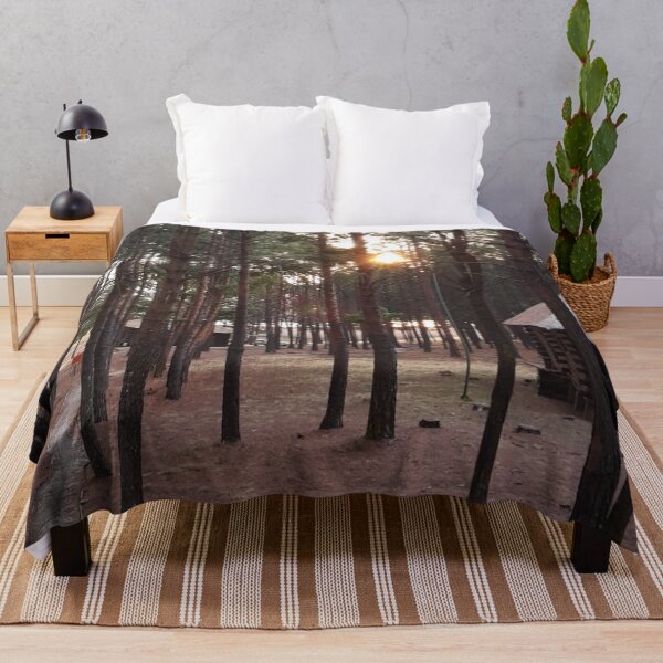 Item preview, “Golden Dusk in Dullstroom: Majestic Pine Trees Embracing the Sun set” designed and sold by IDoMatterROSASS.