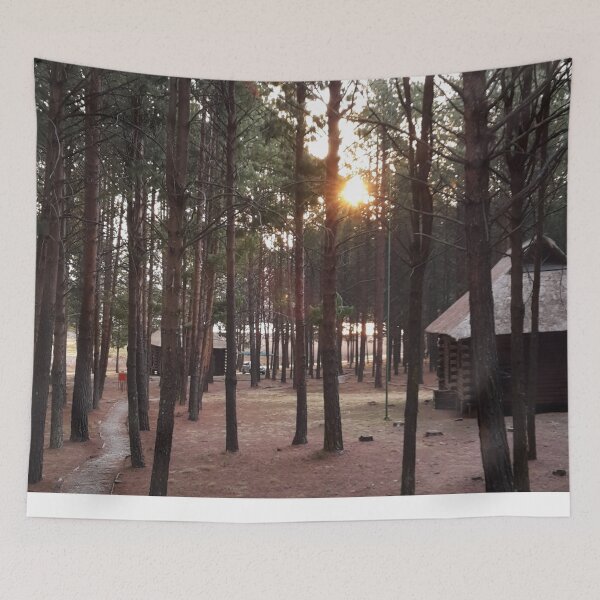 Item preview, “Golden Dusk in Dullstroom: Majestic Pine Trees Embracing the Sun set” designed and sold by IDoMatterROSASS.