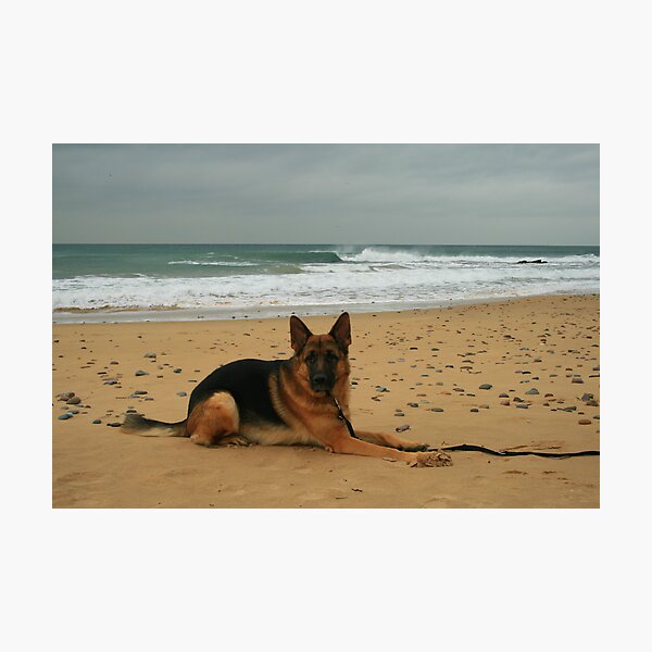 Keeloh 23 Photographic Print