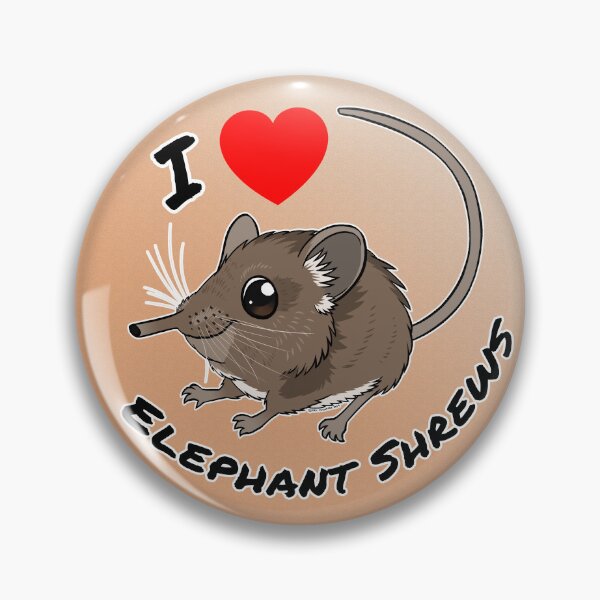 Weird and Wonderful World - I Love Elephant Shrews Pin