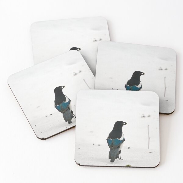 Item preview, Standing pose. Eurasian magpie designed and sold by Jouko Lehto Photography.