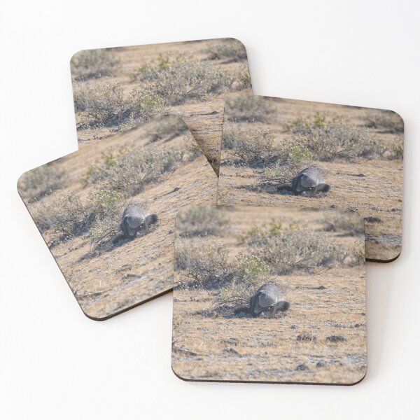 Item preview, Honey badger searching  for food designed and sold by Photopat.
