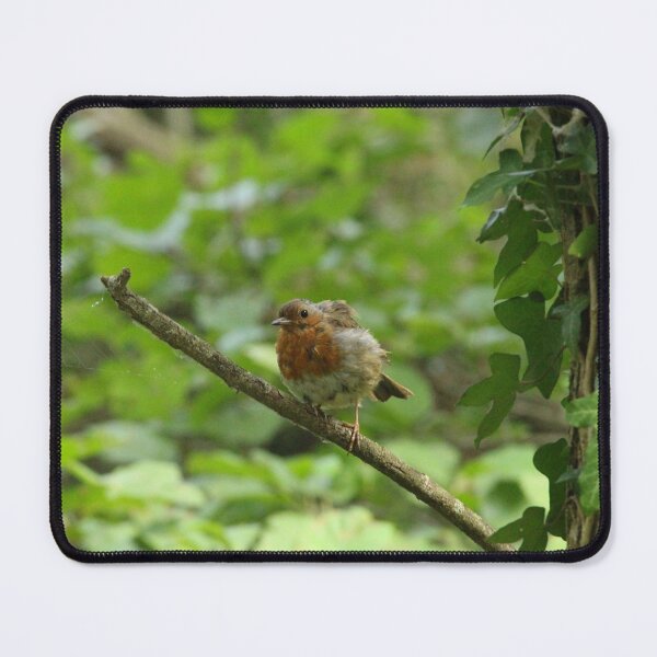Item preview, Robin in a tree designed and sold by DaisyAndrew.