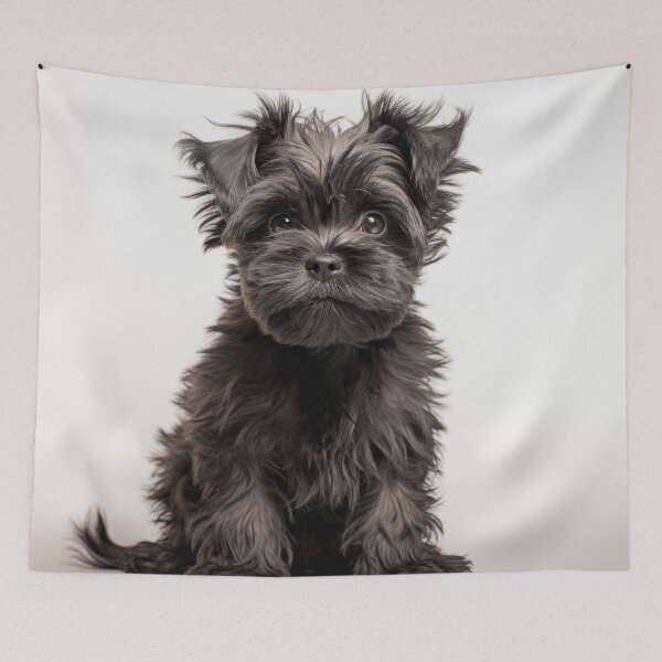 Item preview, Cute Fluffy Affenpinscher designed and sold by Static-Panda.