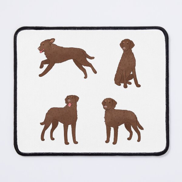 Item preview, Curly coated retriever dog pack  designed and sold by Yaragold.