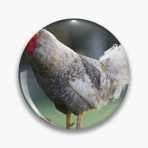 Item preview, This Rooster Knows He Is A Stud designed and sold by CarolRMontoya.