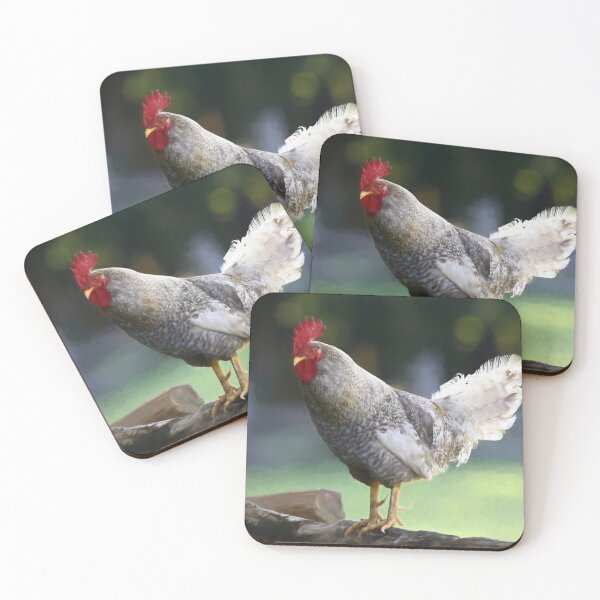 Item preview, This Rooster Knows He Is A Stud designed and sold by CarolRMontoya.