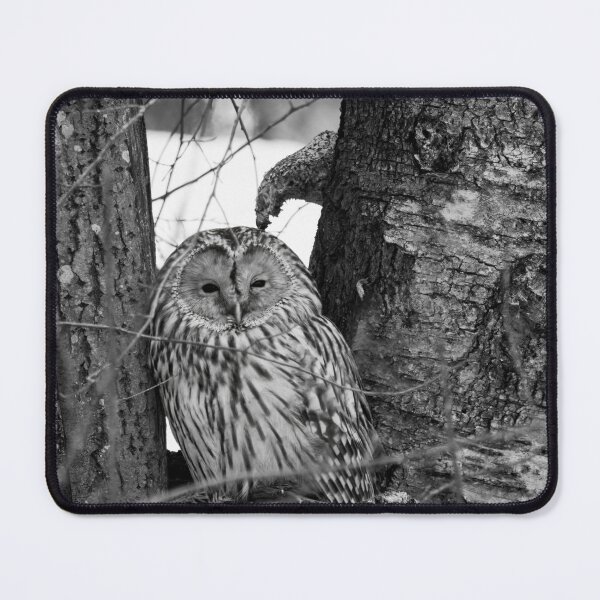 Item preview, Black eyed beauty. Ural owl bw designed and sold by Jouko Lehto Photography.