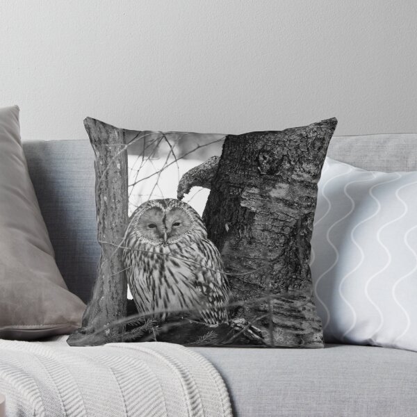 Item preview, Black eyed beauty. Ural owl bw designed and sold by Jouko Lehto Photography.