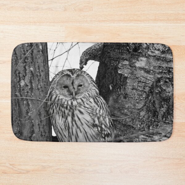 Item preview, Black eyed beauty. Ural owl bw designed and sold by Jouko Lehto Photography.
