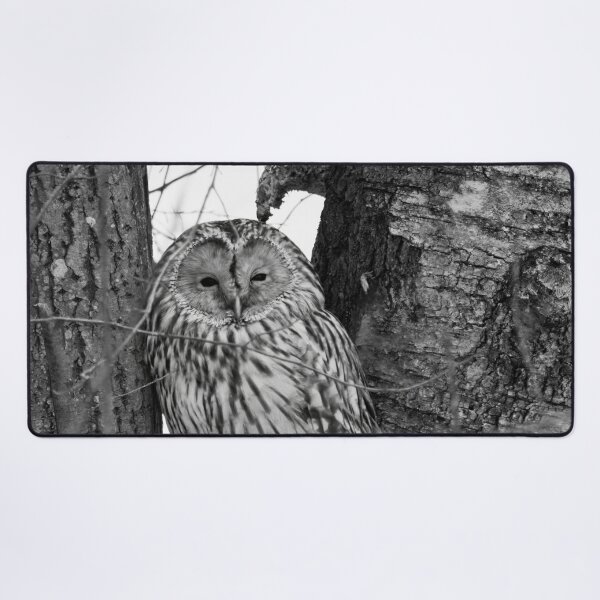 Item preview, Black eyed beauty. Ural owl bw designed and sold by Jouko Lehto Photography.