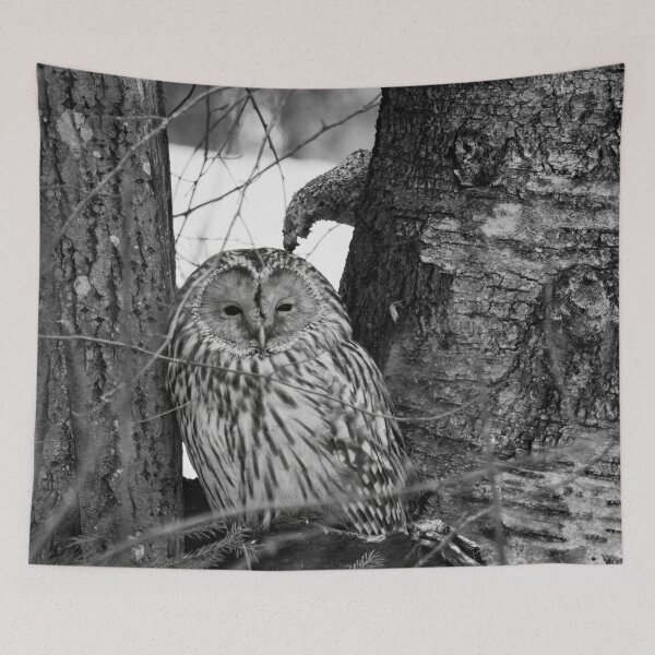 Item preview, Black eyed beauty. Ural owl bw designed and sold by Jouko Lehto Photography.