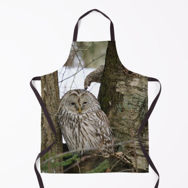 Item preview, Black eyed beauty. Ural owl designed and sold by Jouko Lehto Photography.