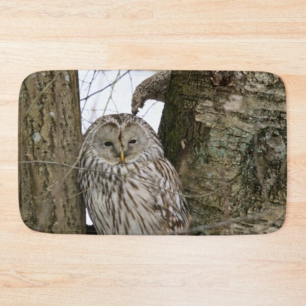 Item preview, Black eyed beauty. Ural owl designed and sold by Jouko Lehto Photography.