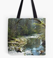 Let's get wet Tote Bag