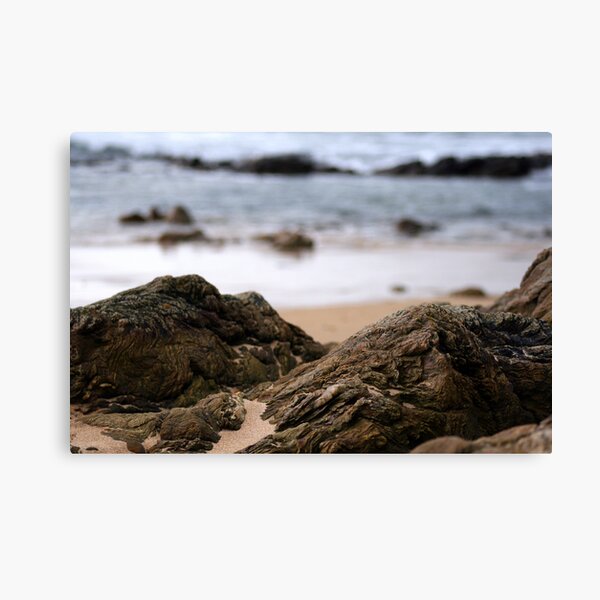 Kintyre Bokeh Canvas Print