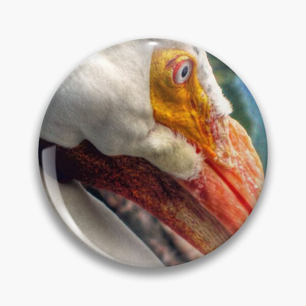 Item preview, Pensive Pelican: A Moment of Contemplation designed and sold by Diego Re.