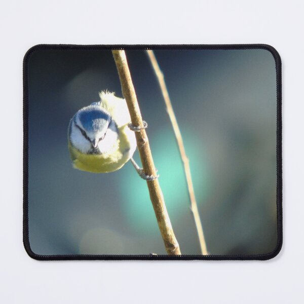 Item preview, Tenby tit designed and sold by Stephen Peters Burry Port.