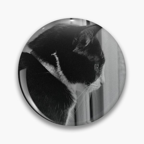 Item preview, Black and White Cat TV designed and sold by Phil Bothwell Photography.