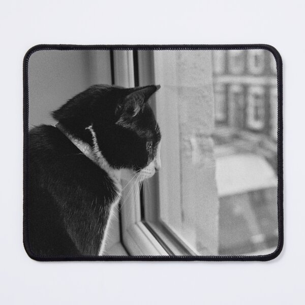 Item preview, Black and White Cat TV designed and sold by Phil Bothwell Photography.
