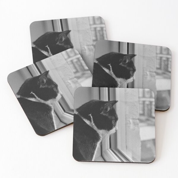 Item preview, Black and White Cat TV designed and sold by Phil Bothwell Photography.