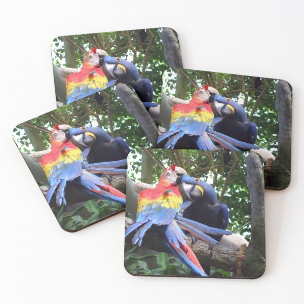 Item preview, Camaradería Colorida: Loros Juguetones designed and sold by Diego Re.