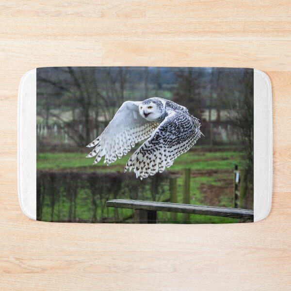 Item preview, Owl on the prowl designed and sold by Martin Fenton.