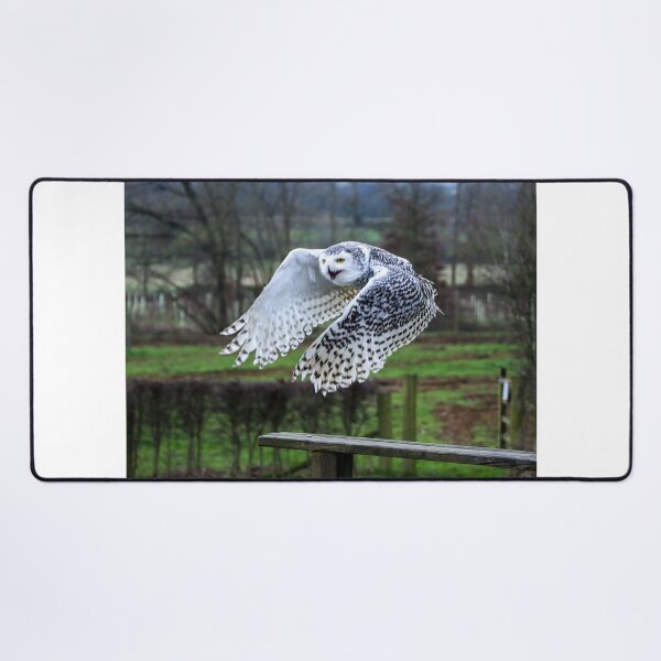 Item preview, Owl on the prowl designed and sold by Martin Fenton.