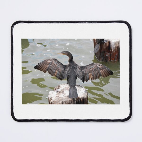 Item preview, The Cormorant's Sun Salutation designed and sold by Diego Re.