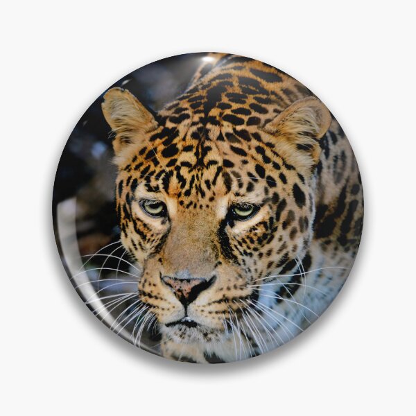 Item preview, Clouded Leopard  designed and sold by Savannah Gibbs.