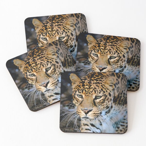 Item preview, Clouded Leopard  designed and sold by Savannah Gibbs.