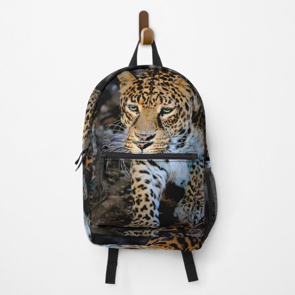 Item preview, Clouded Leopard designed and sold by Savannah Gibbs.