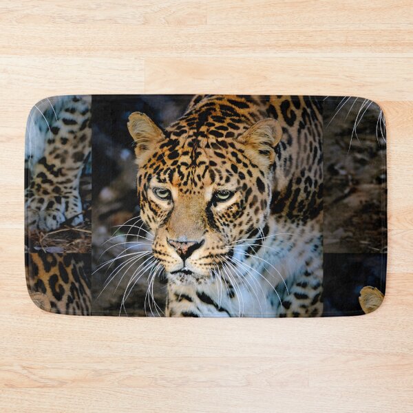 Item preview, Clouded Leopard  designed and sold by Savannah Gibbs.