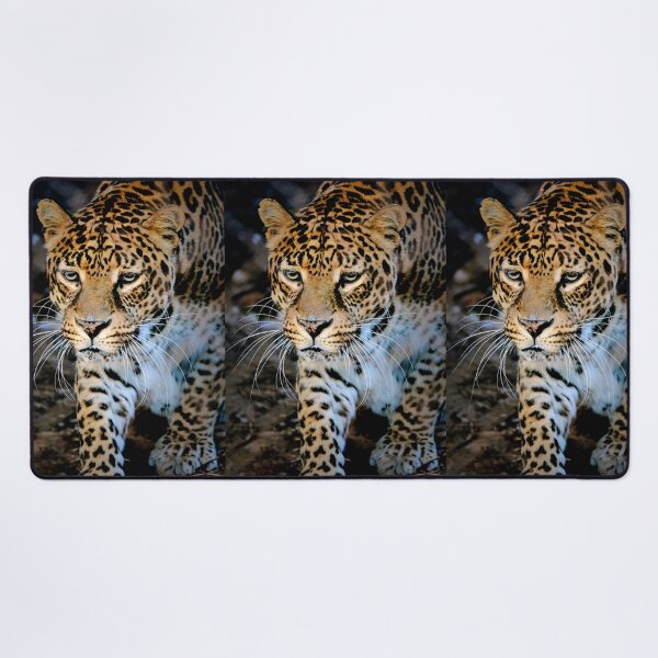 Item preview, Clouded Leopard  designed and sold by Savannah Gibbs.
