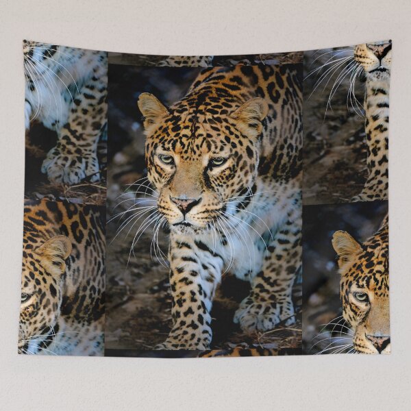 Item preview, Clouded Leopard  designed and sold by Savannah Gibbs.