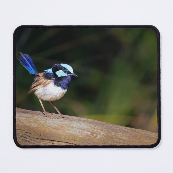 Item preview, Little Blue Wren designed and sold by GaryParnell.