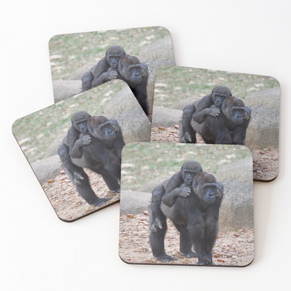 Item preview, Gorillas Floyd and Andi at Zoo Atlanta designed and sold by Zoo and Nature Photography by Karie.