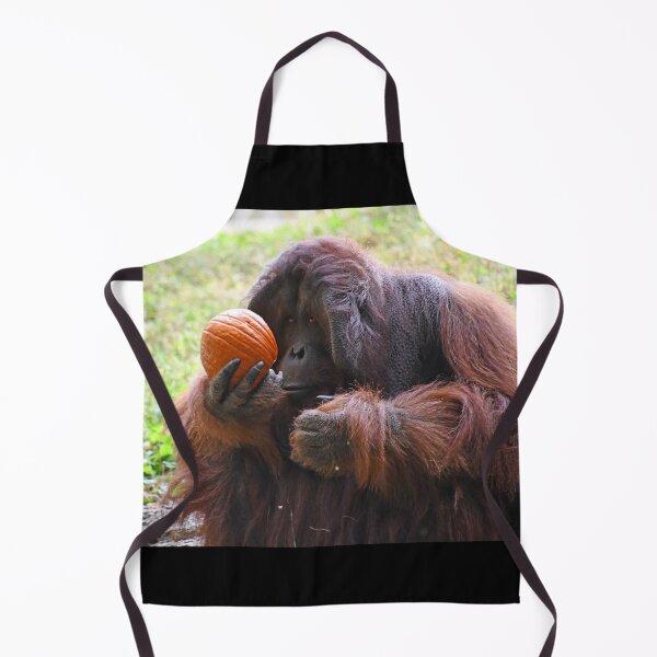 Item preview, Satu the Orangutan at Zoo Atlanta designed and sold by Zoo and Nature Photography by Karie.