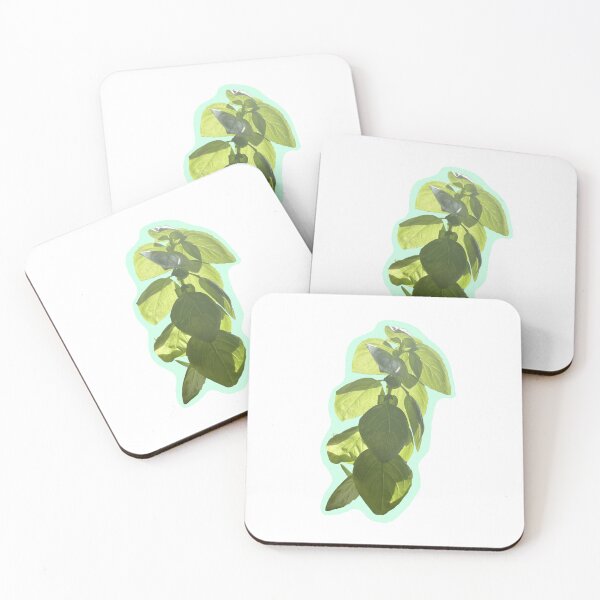 Item preview, Basil designed and sold by lxterrestre.