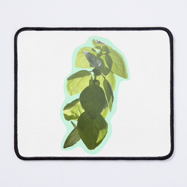 Item preview, Basil designed and sold by lxterrestre.