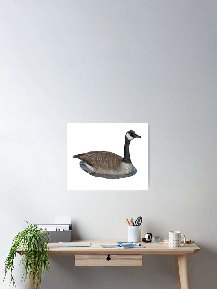 Thumbnail 2 of 3, Poster, Canadian Goose designed and sold by Modsecai.