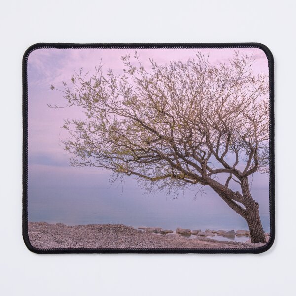 Item preview, Lopsided Tree During Sunset in Goderich, Ontario designed and sold by jrtwynam.