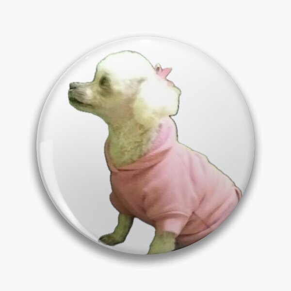 Item preview, My Beloved White Toy Poodle Photography designed and sold by Victoria Rose.